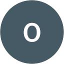 omri K. profile picture